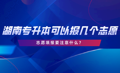 湖南專升本可以報(bào)幾個志愿？志愿填報(bào)要注意什么.png