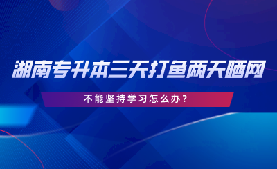 2024年湖南專升本三天打魚兩天曬網(wǎng)，不能堅持學(xué)習(xí)怎么辦.png