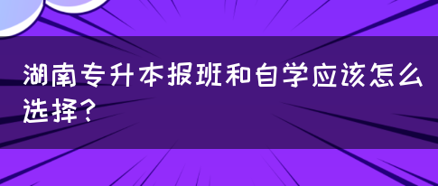 湖南專升本報(bào)班和自學(xué)應(yīng)該怎么選擇？(圖1)