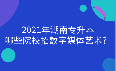 2021年湖南專升本哪些院校招數(shù)字媒體藝術(shù)？.png