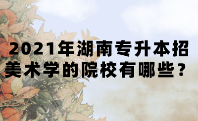 2021年湖南專升本招美術學的院校有哪些？(圖1)