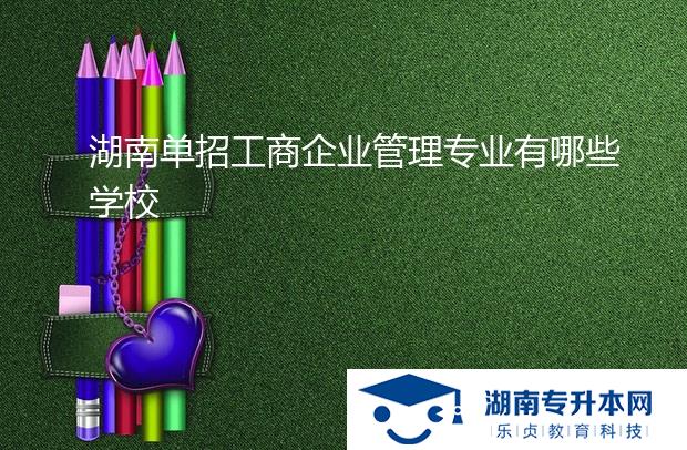 湖南單招工商企業(yè)管理專業(yè)有哪些學(xué)校