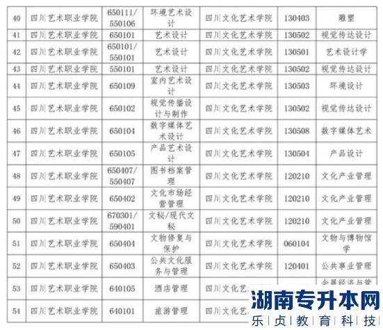 四川文化藝術(shù)學(xué)院2023年專升本招生專業(yè)(圖4)