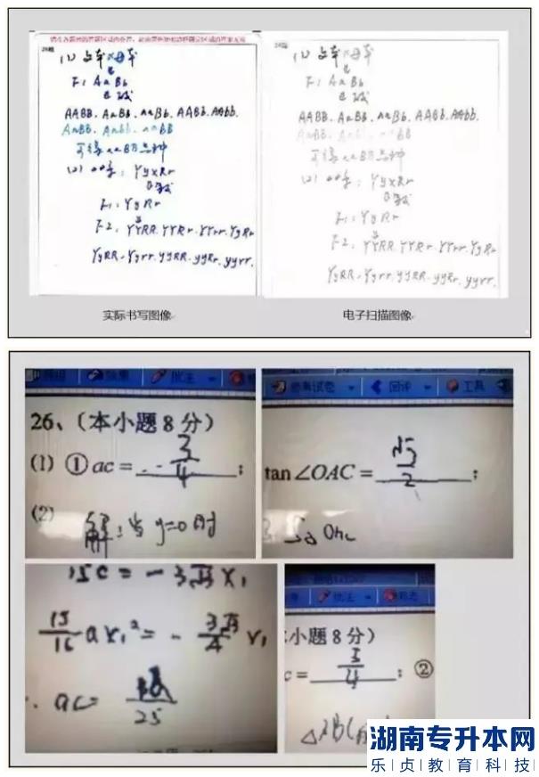 江蘇2023年專轉(zhuǎn)本考試答題卡樣式及填涂注意事項(xiàng)(圖5)