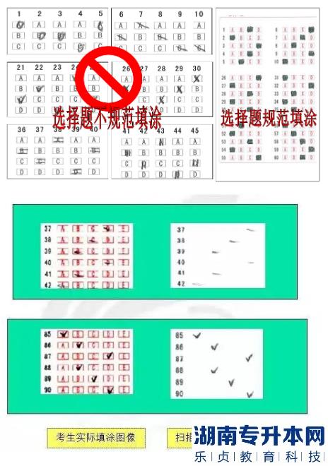 江蘇2023年專轉(zhuǎn)本考試答題卡樣式及填涂注意事項(xiàng)(圖4)