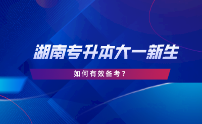 湖南專升本大一新生如何備考？新生必看指南！