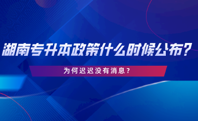 2024年湖南專升本政策什么時(shí)候公布？為何遲遲沒(méi)有消息.png